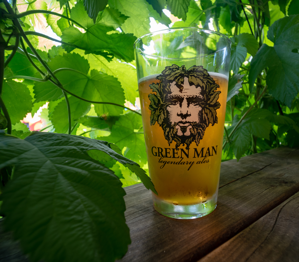 A pint of Green Man beer among leaves from a tree in an article about breweries in Asheville