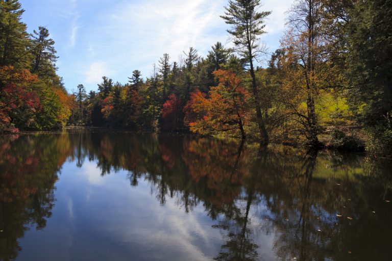 15 Best Asheville Hiking Trails Near The City (Waterfalls + Blue Ridge ...