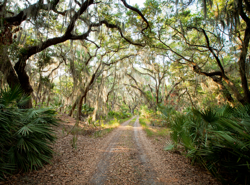 there are so many haunted places in Georgia you will be spoilt for choice.