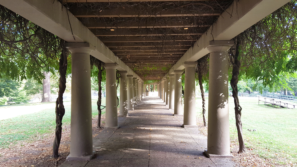 walkway covered with columns on both sides with trees growing over top