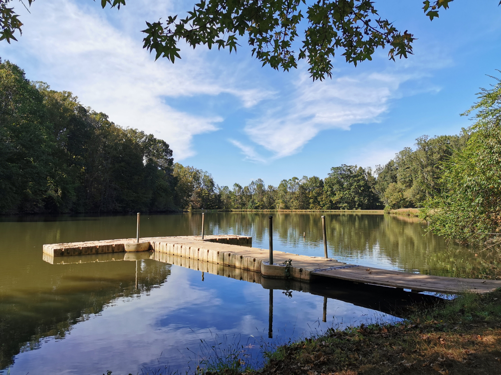 a small dock on a pond surrounded by trees one of the best things to do in winston salem north carolina