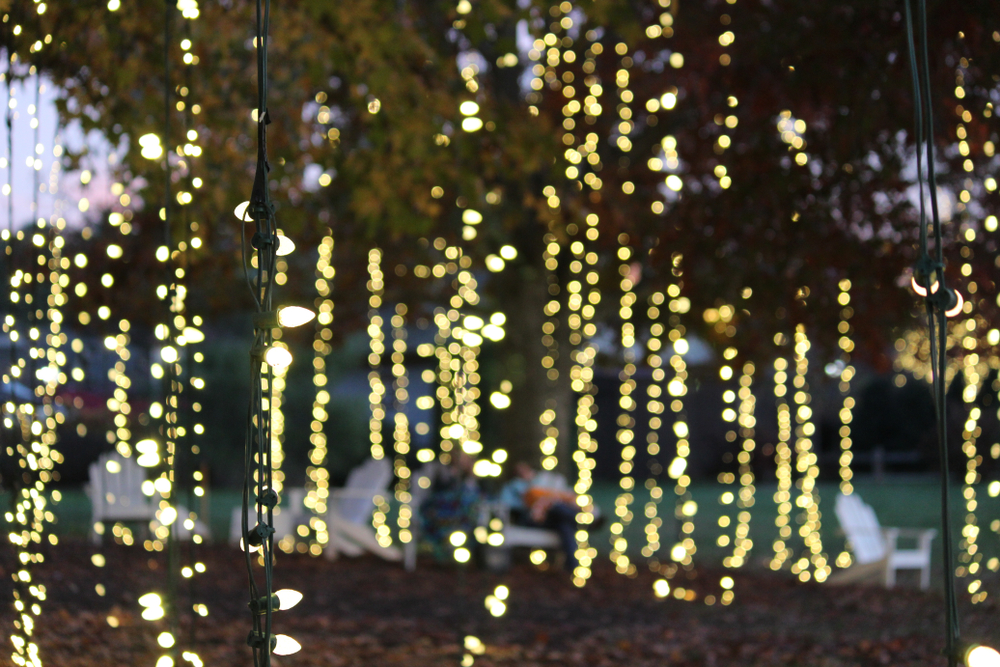 A bokeh image of string lights hanging from a tree. There are hundreds of lights and you can see white chairs and people sitting in them in the bokeh of the image. 