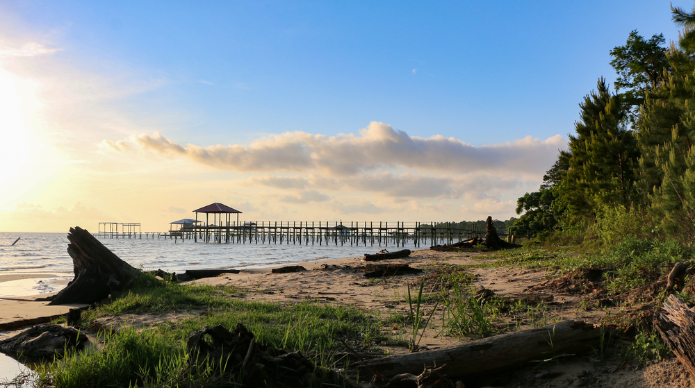 the beautiful coastline of the mobile bay