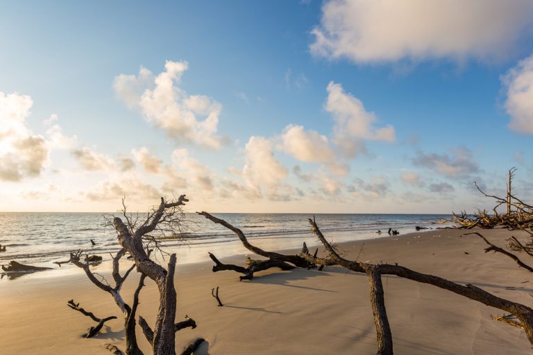 12 Closest Beaches Near Atlanta You Must Visit - Southern Trippers