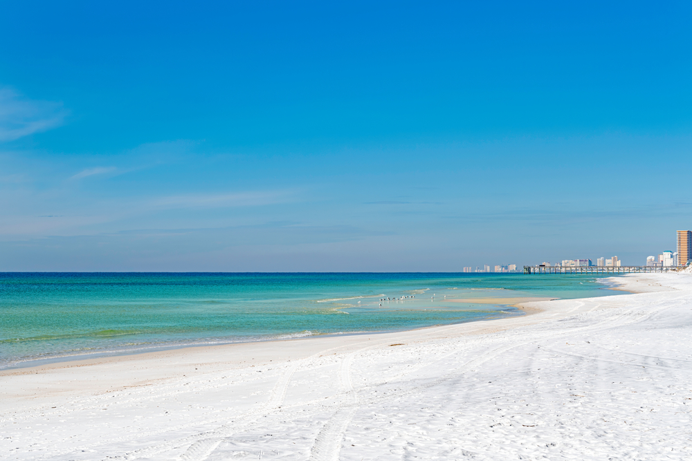 Seabirds is the distant shallows of a sandy beach, with buildings a fishing pier on the horizon, in Panama City Beach, FL.