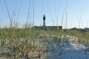 12 CLOSEST BEACHES NEAR ATLANTA YOU MUST VISIT visual data 8
