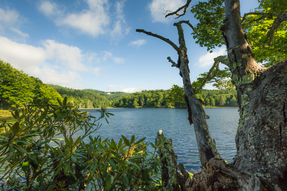 The lake on a sunny day at Bass Lake, one of the best things to do in Blowing Rock.