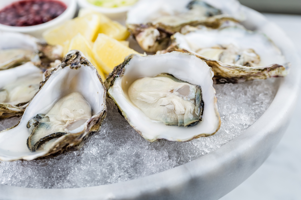 Plate of oysters on ice at one of the best restaurants in Georgetown.