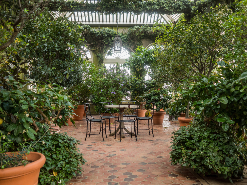 Inside the conservatory at Dumbarton Oaks, where there is a stone patio with seating and tons of greenery. 