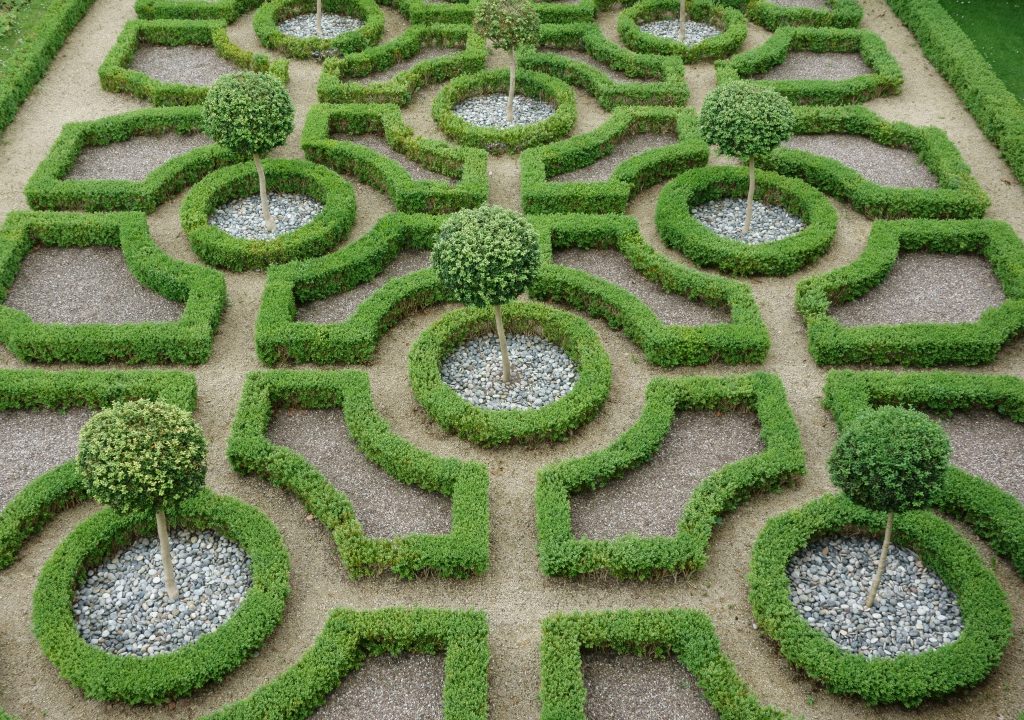 A traditional tudor knot garden like the one that can be seen at the Tudor Place Historic House. There are box shrubs making different shapes and small topiary trees. 