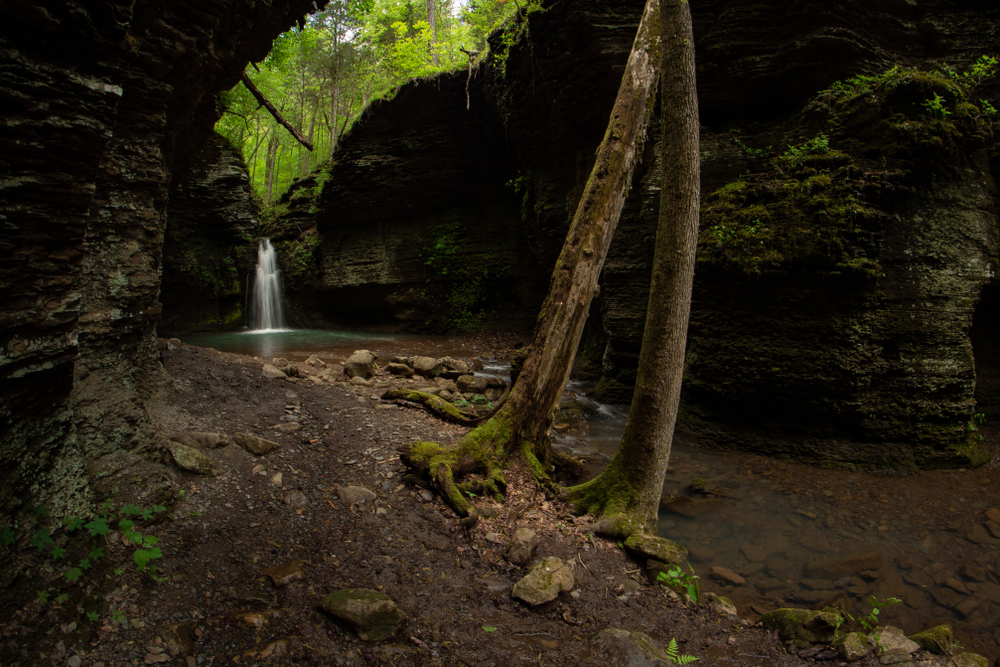 View of Fuzzy Butt Falls and the creek.