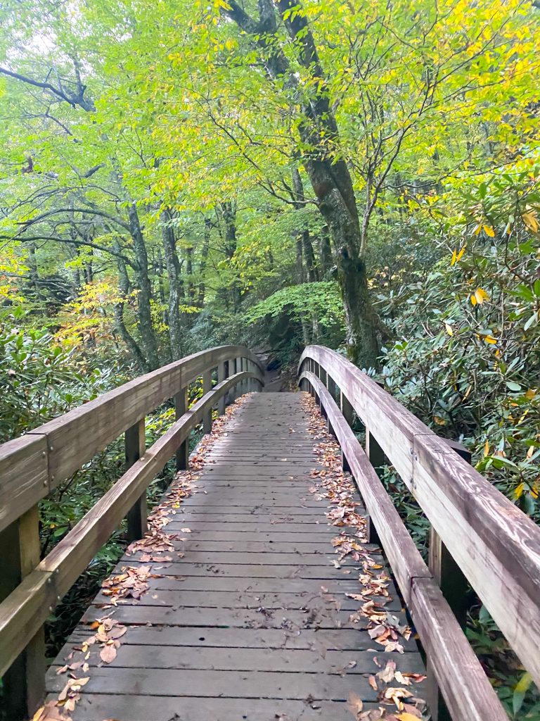 wooden bridge in the woods on trail