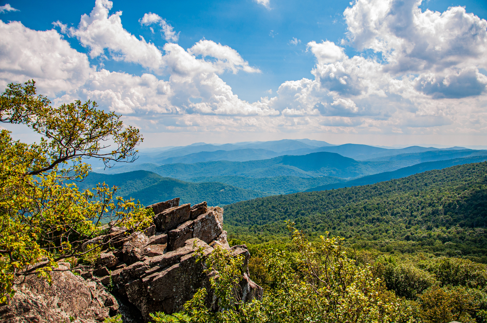 View of rolling, green mountains in Shenandoah National Park.