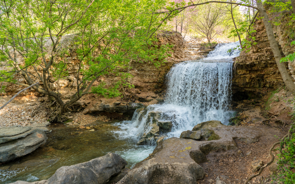 Tanyard Creek Falls surrounded by greenery.