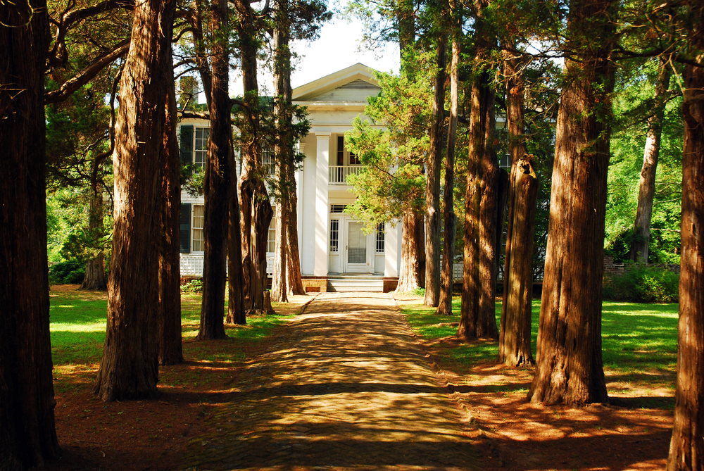 The path to Rowan Oak lined with trees.