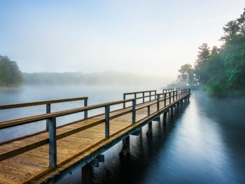 misty boardwalk state park one of the best things to do in mississippi