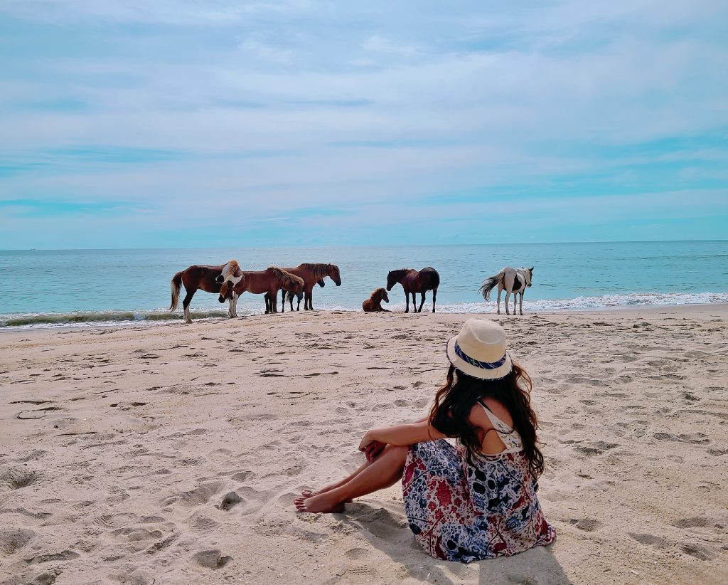girl viewing ponies on beach, beaches in virginia