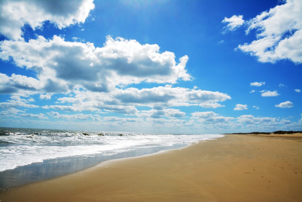 sand, ocean, and sky at sandbridge beaches in virginia