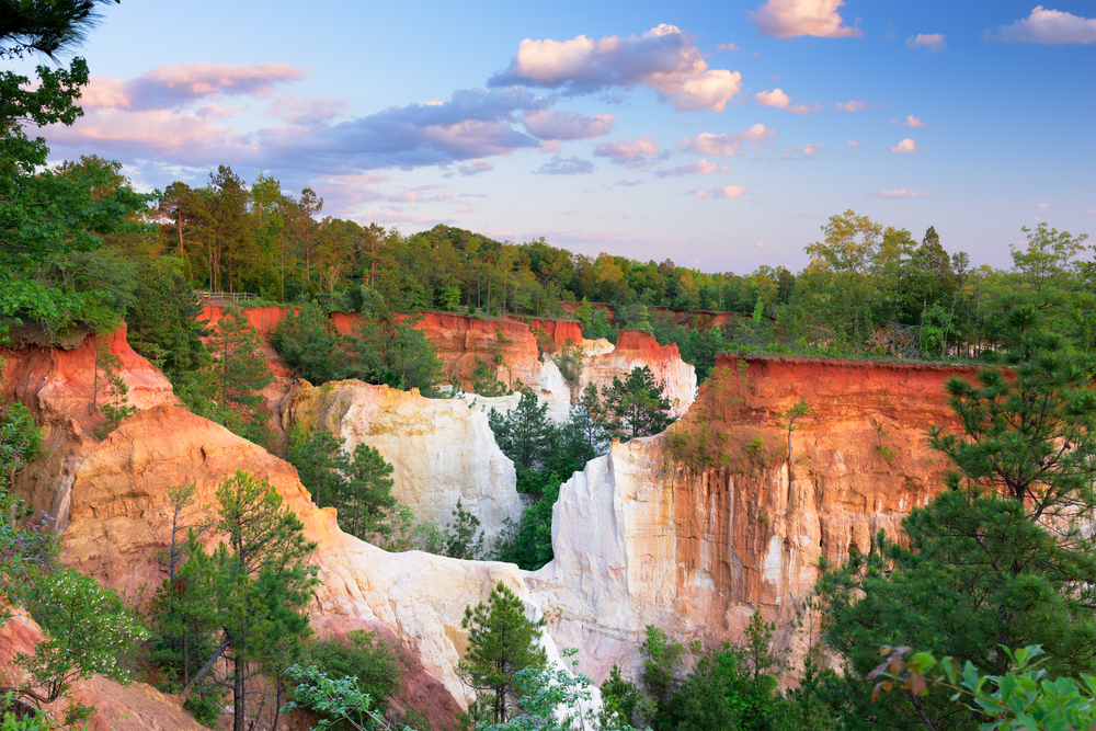 The red cliff walls surrounded by green trees at one of the State Parks of places to visit in Georgia providence canyon 