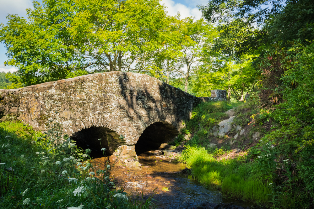 stone bridge over small creek in a green forest