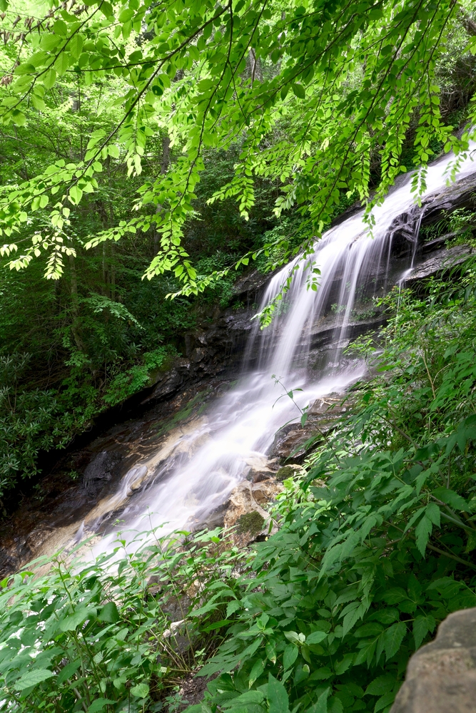 cascade trail waterfall in greenery