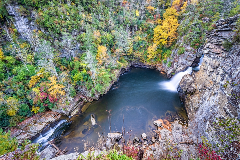 The beautiful fall trees surrounding the waterfall and gorge from above