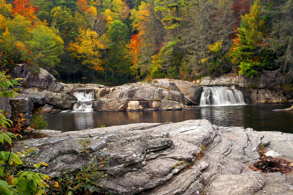 the lower level falls and rocks with fall trees