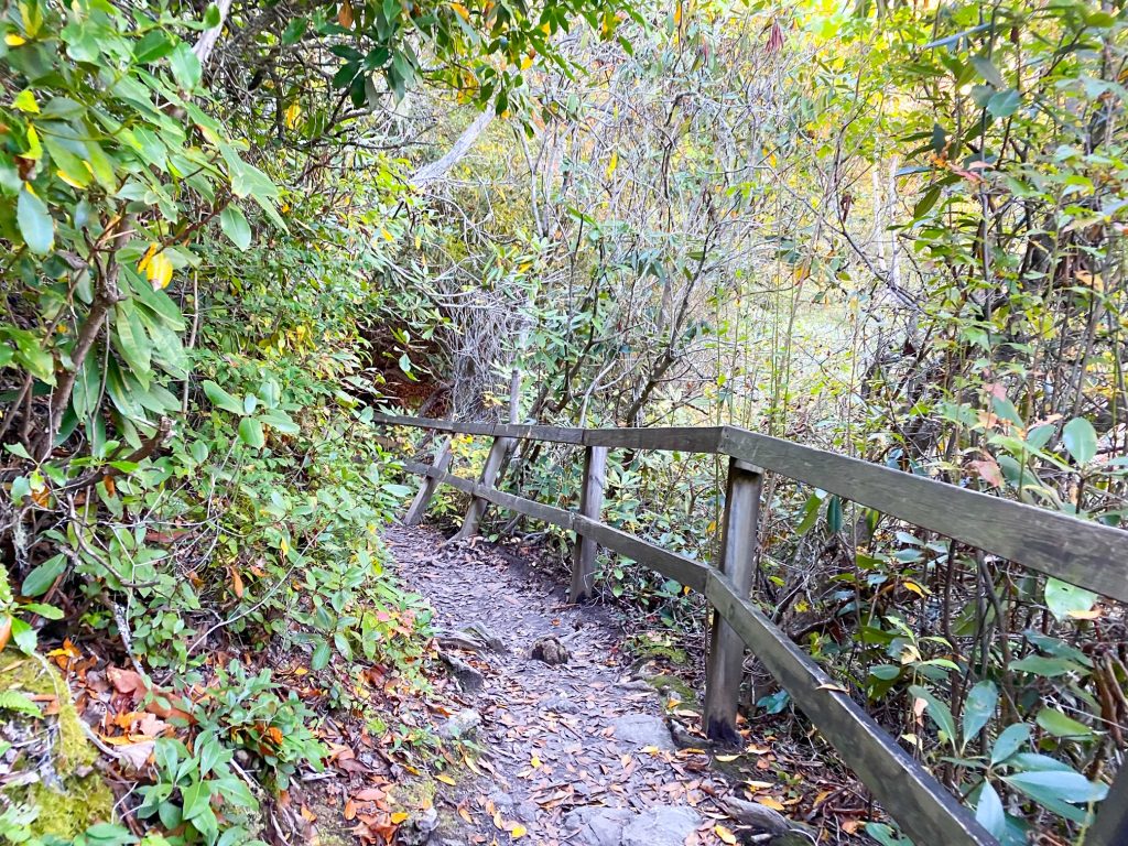 The large wooden fence that lines one of the popular hiking trails along Linville Falls