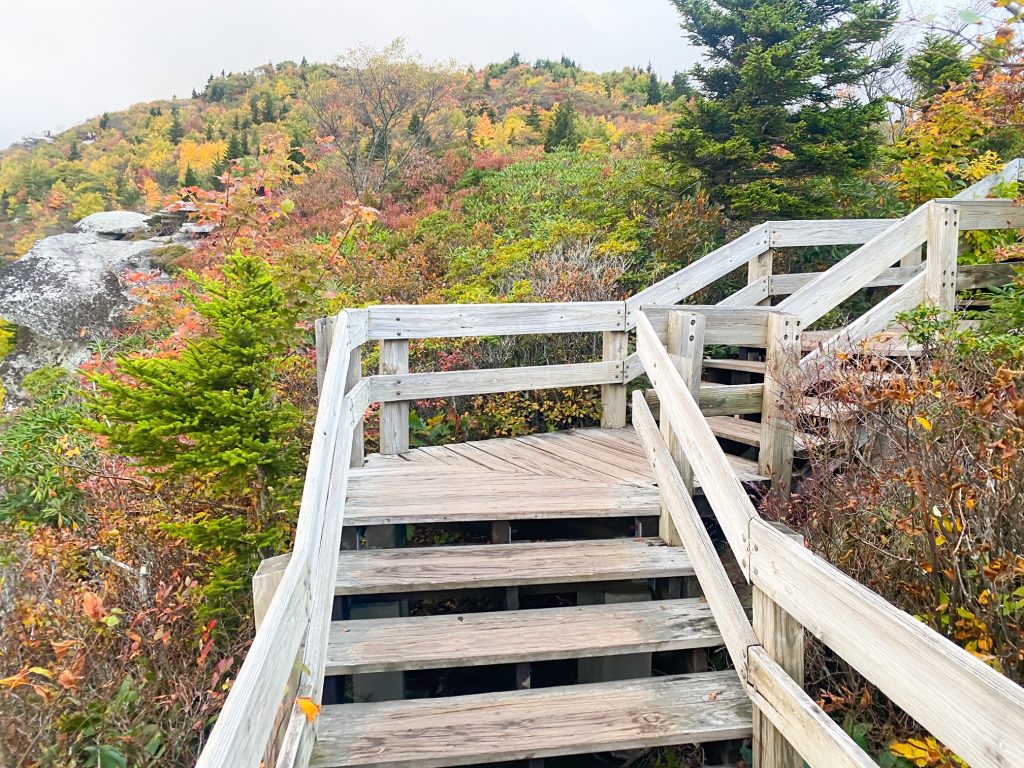 wooden stairs leading up hill on the rough ridge trail
