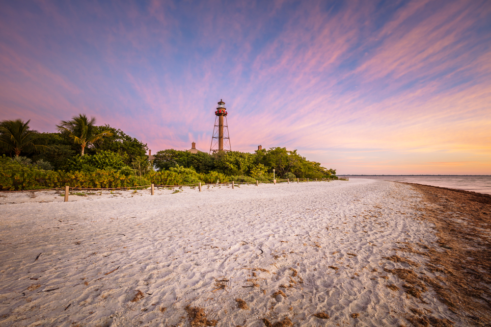 A sandy beach with shrubs and palm trees growing behind it. It is sunset and you can see a tall skinny lighthouse in the distance. 