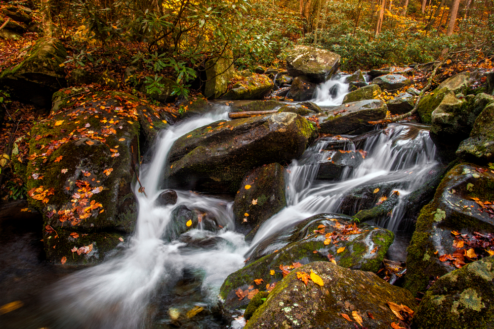 Best Places To Visit in Tennessee Roaring Fork foilage