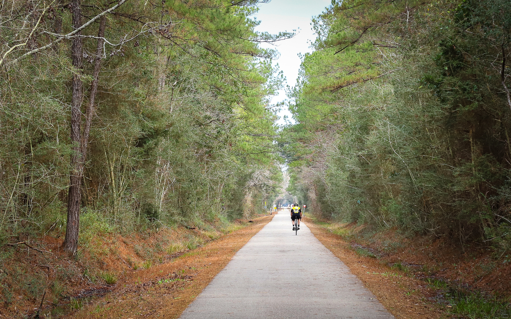 A cyclist rides along the tree-lined asphalt rail-to-trail called Tammany Trace, one of the best things to do in Louisiana for those looking for exercise.