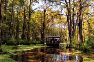 23 Best Things To Do In Louisiana For Your Bucket List - Southern Trippers