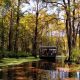 take a swamp tour in Louisiana