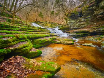 raven run is one of the best places to visit in kentucky