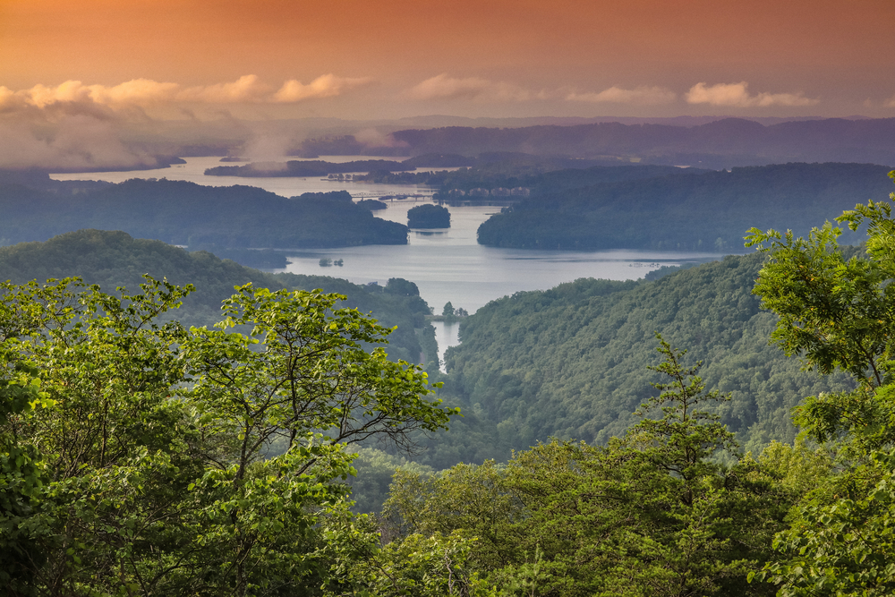 the cumberland gap surrounded by trees, one of the best places to visit in kentucky