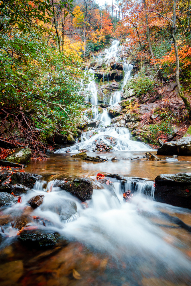 waterfall surrounded by tree in north carolina