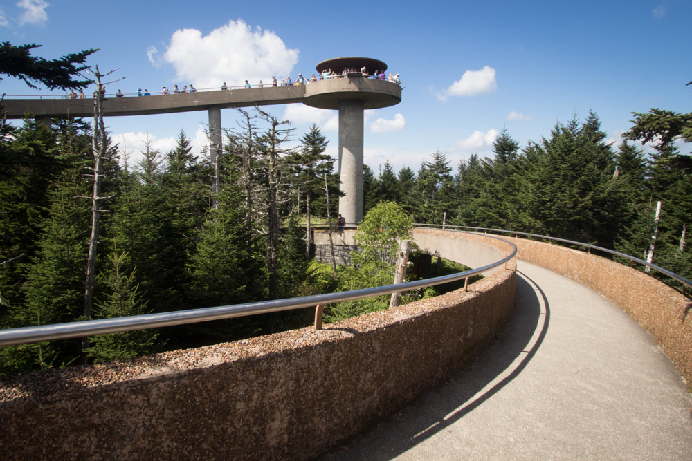 walkway up to clingmans dome, people walking along the path, surrounded by trees