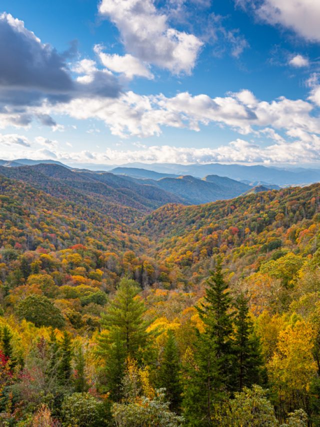 20 Things To Do In Tennessee: The Ultimate Bucket List story