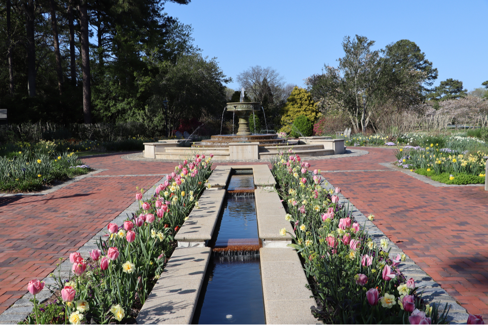 Gorgeous brick lined walkway and fountain at the reputable Norfolk Botanical gardens