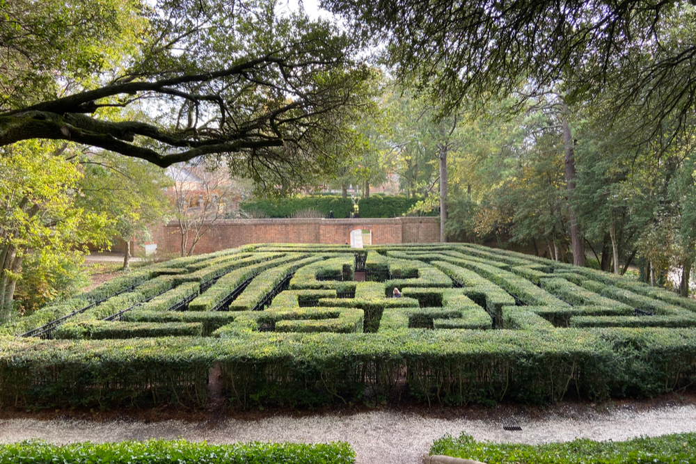 Labyrinth composed of shrubs at the Williamsburg Colonial ground gardens