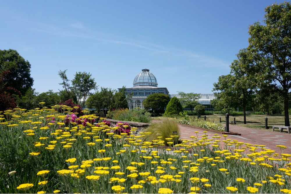 Domed conservatory iconic of the Lewis Ginter Botanical Gardens in Virginia with yellow flowers in bloom along walkways