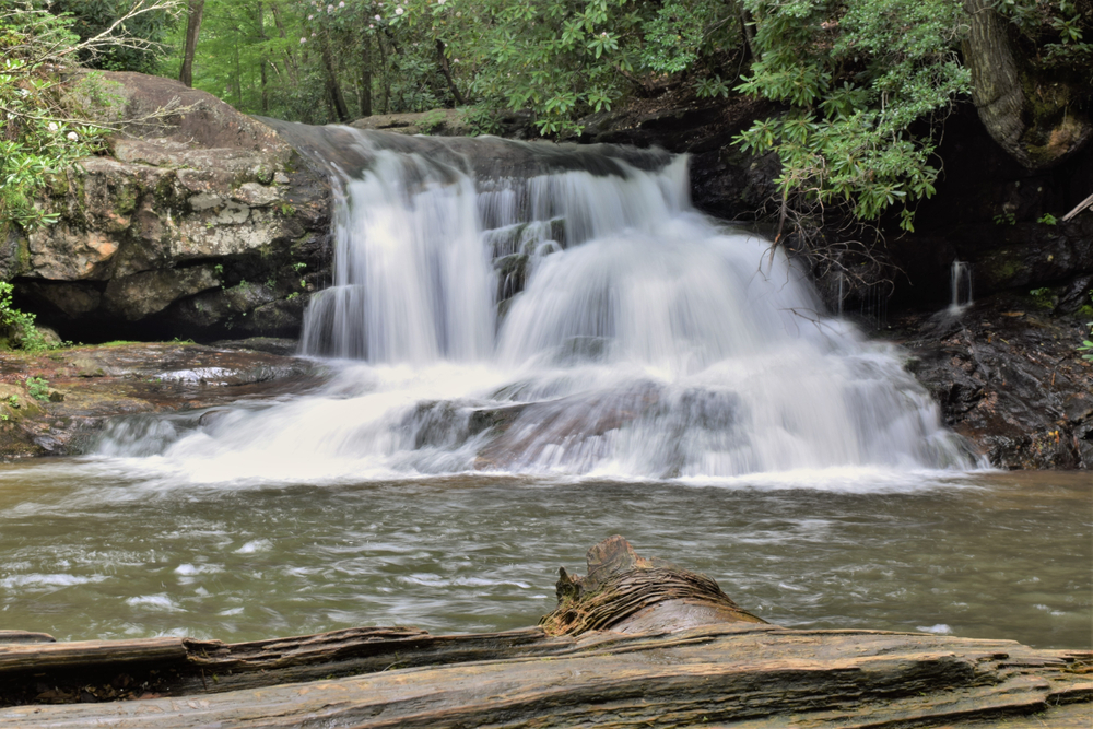 The views of Hemlock Falls from a log