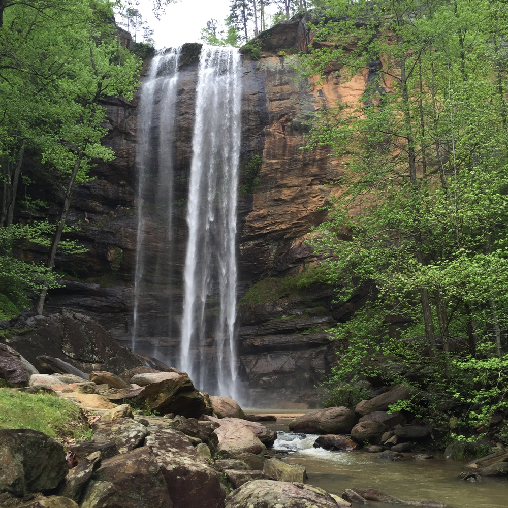 Toccoa Falls is the tallest waterfall in north Georgia at 186 feet