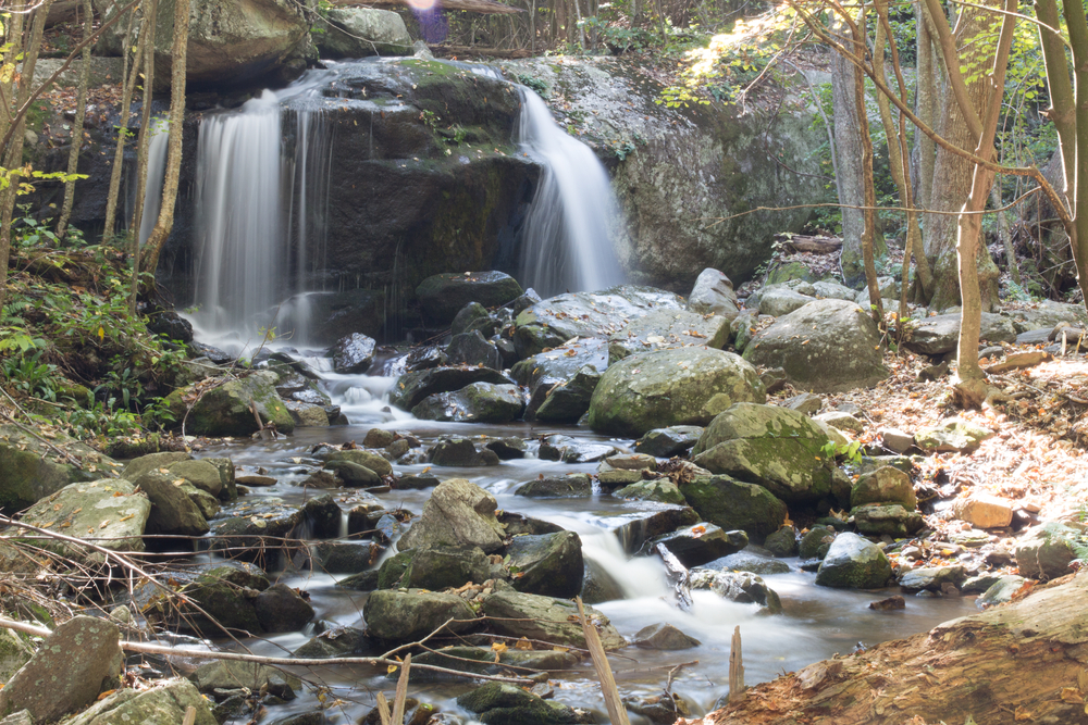 apple orchard falls in virgnia, two cascades pour down onto rocks and creek below