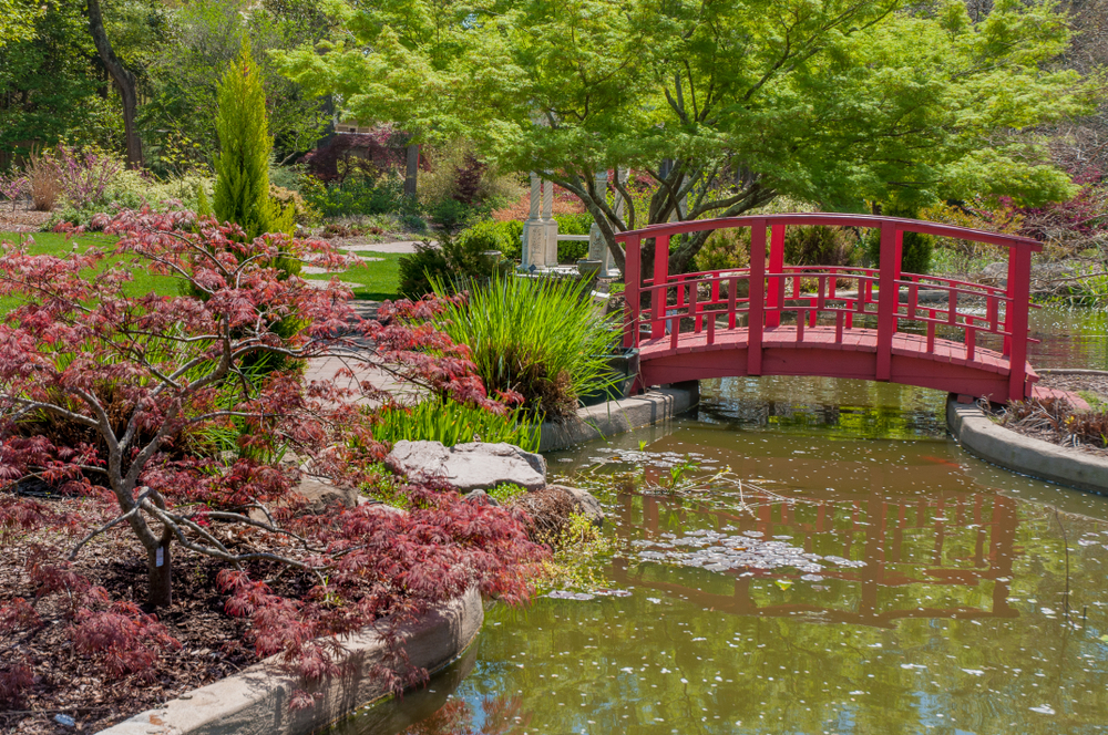 small bridge over water feature. gardens in north carolina