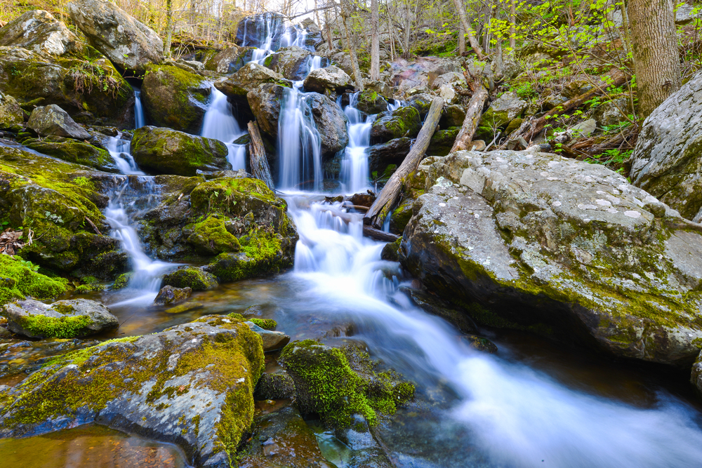 one of the most popular waterfalls in virginia, dark hollow falls. water cascading over rocks covered with moss