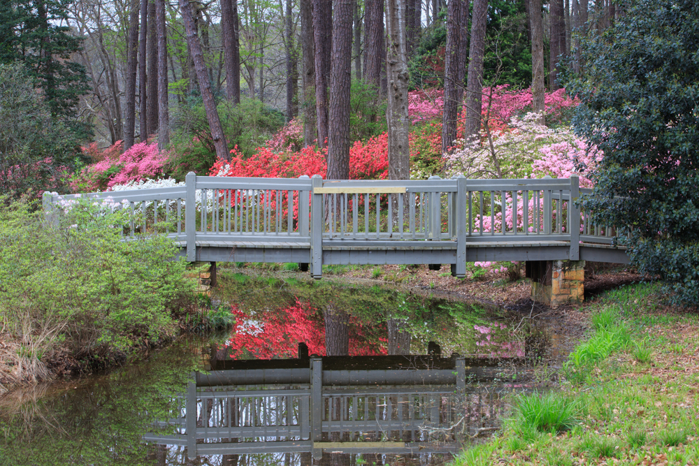 A bridge over a stream with flowers behind it in an article about gardens in Georgia