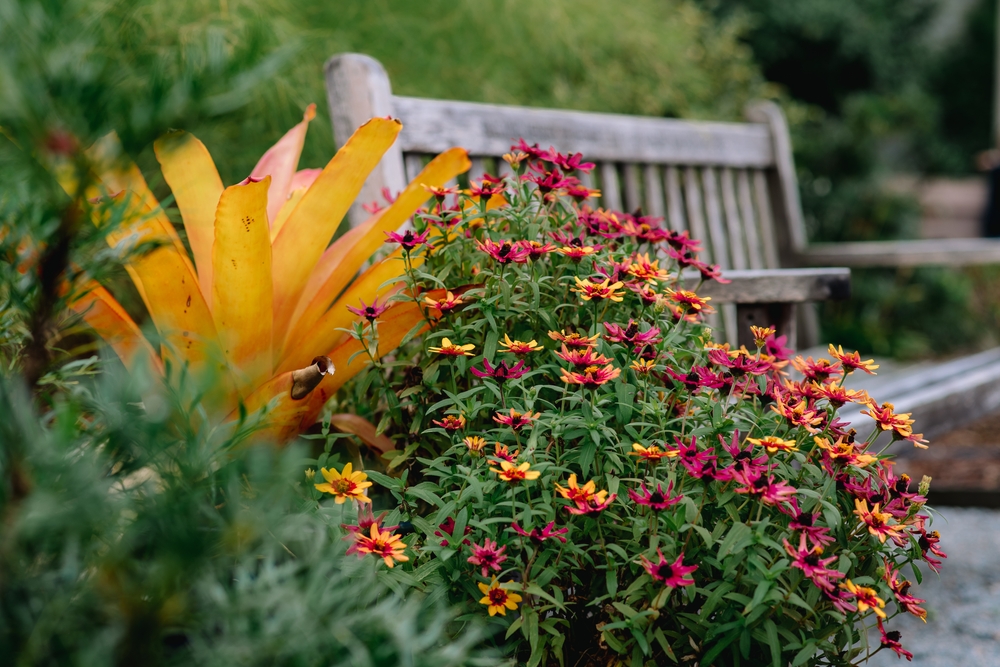 A bench with beautiful flowers in the forground  