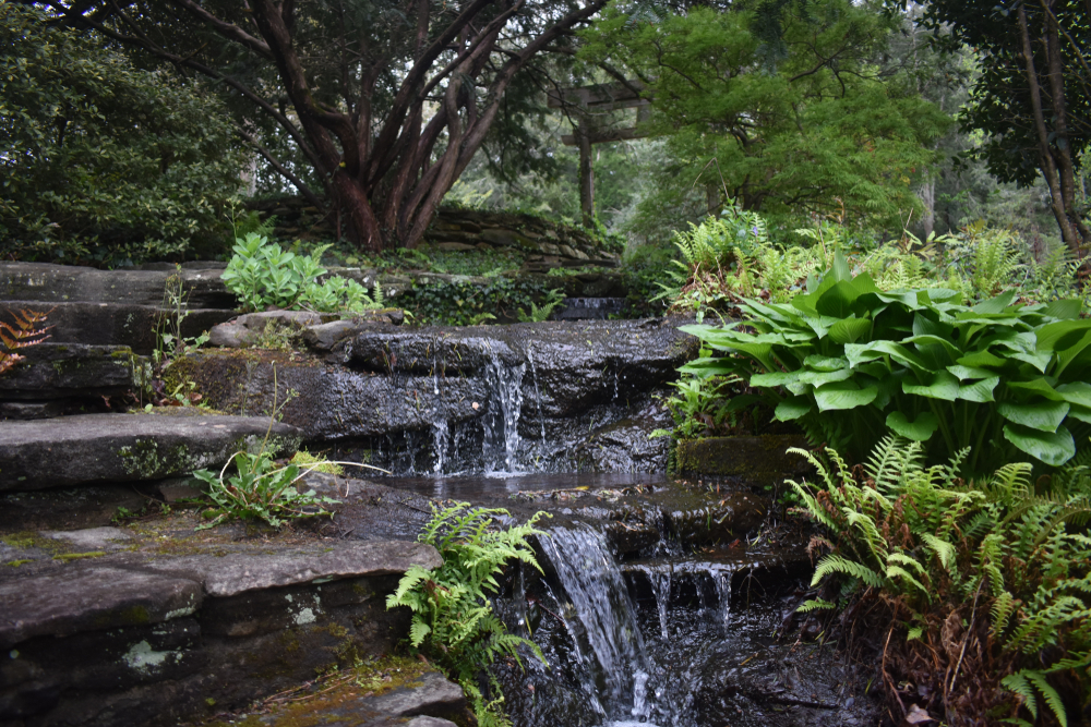 Water tubling over stone steps with foilage all around in an article about gardens in Georgia